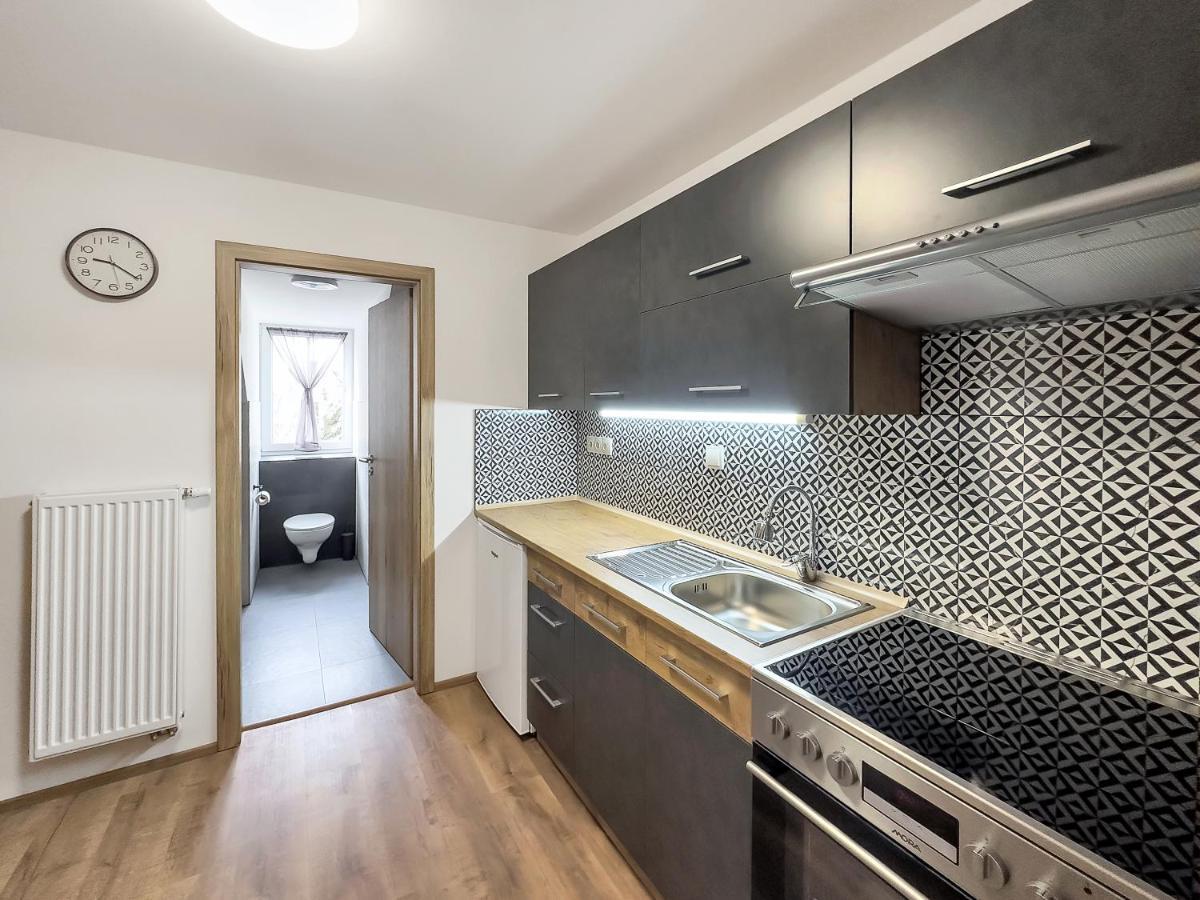 Apartment Katrin 2 Karlovy Vary Exterior photo